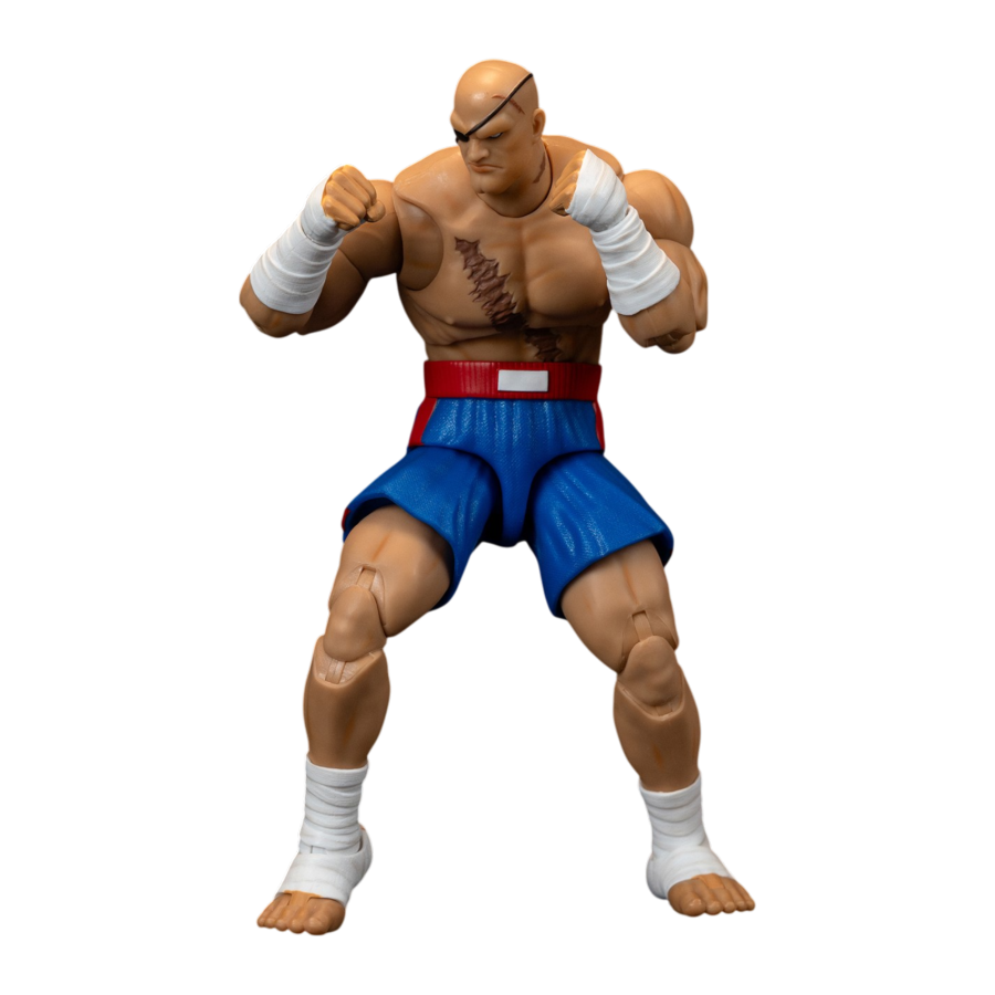 Street Fighter II Sagat 6" Figure - Jada Toys - 0